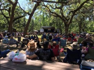 Bluegrass In The Park